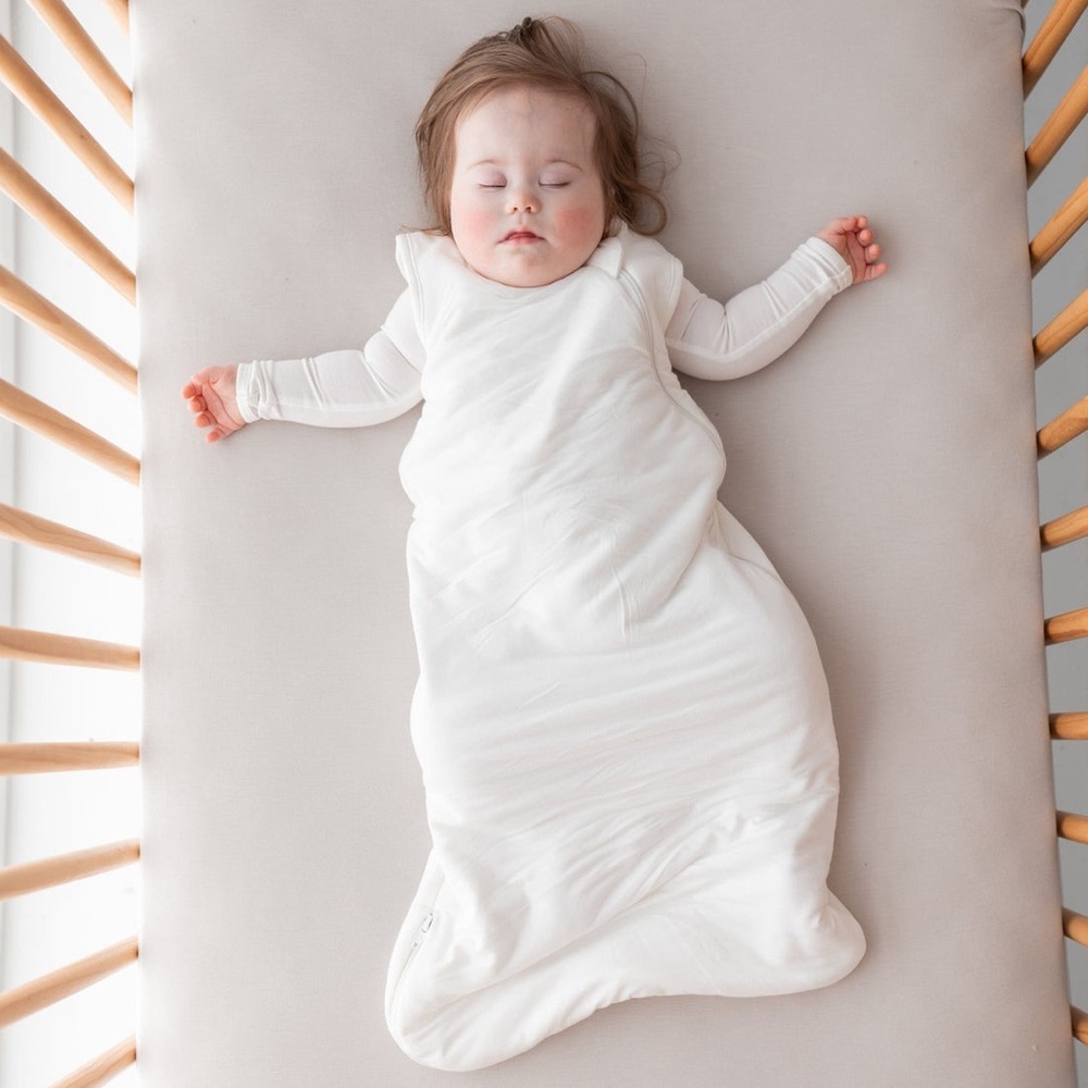 Kyte Baby Sleep Bag in Cloud 2.5 sz L